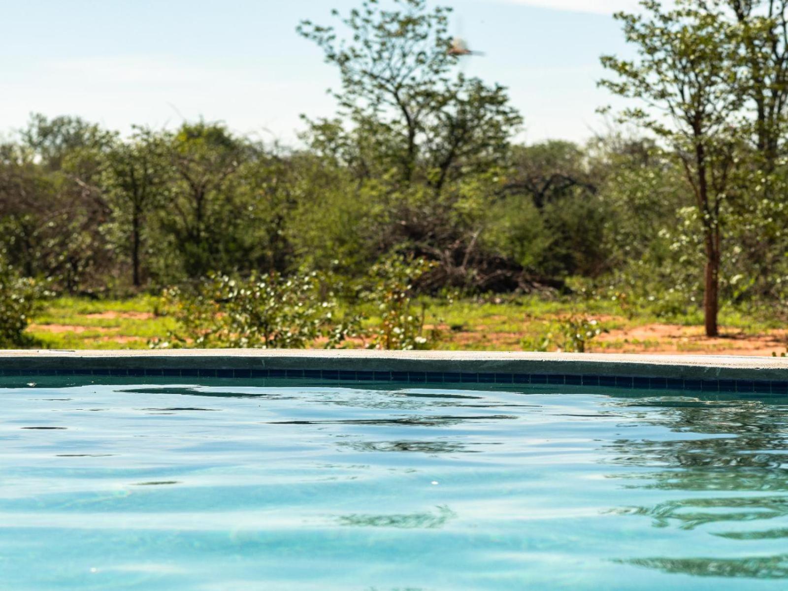 Kifaru Bush Camp Hotell Outjo Eksteriør bilde