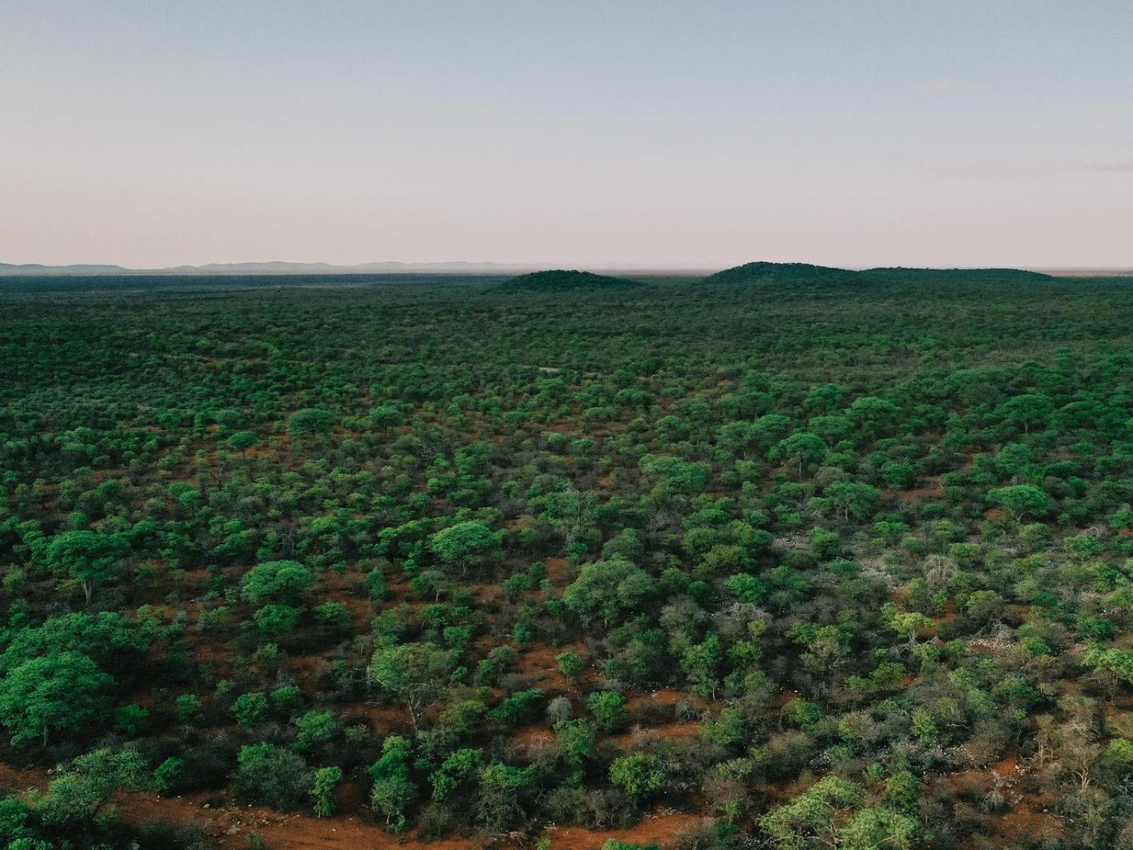 Kifaru Bush Camp Hotell Outjo Eksteriør bilde