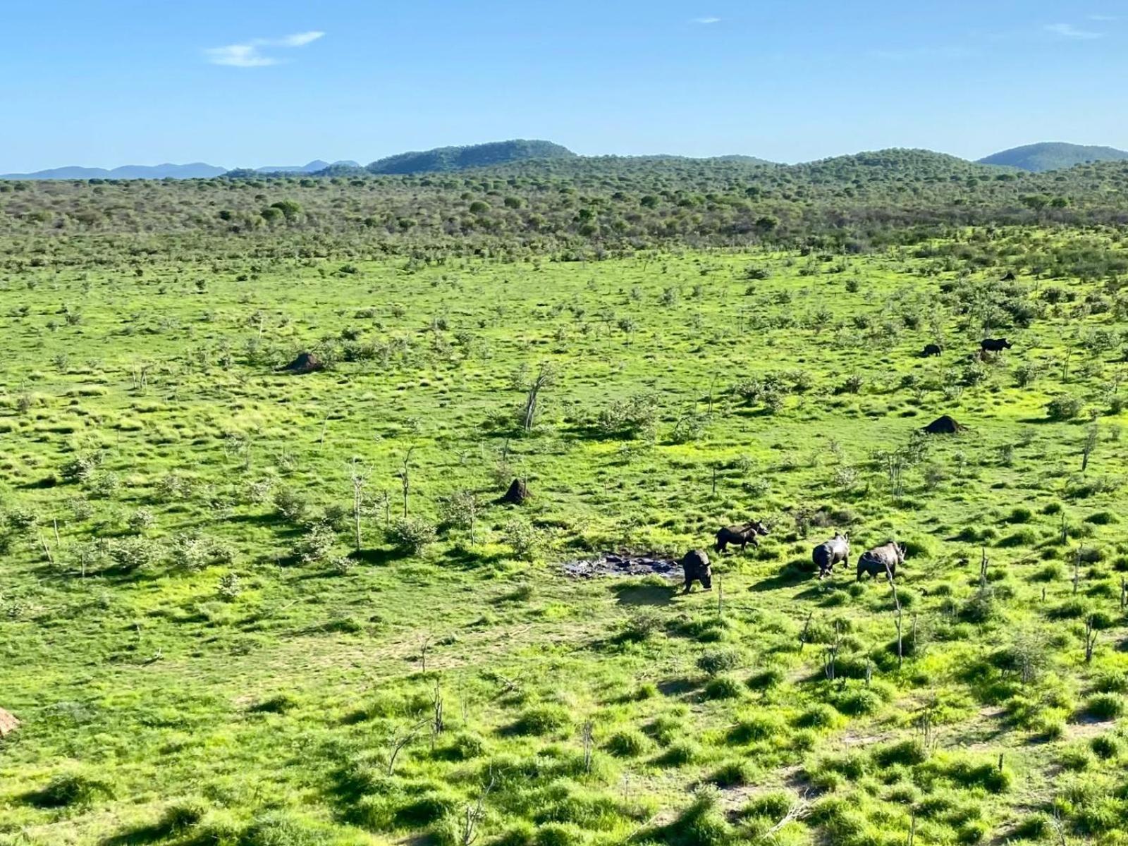 Kifaru Bush Camp Hotell Outjo Eksteriør bilde